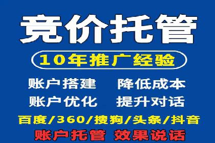 百度竞价运营策略：成功案例解析